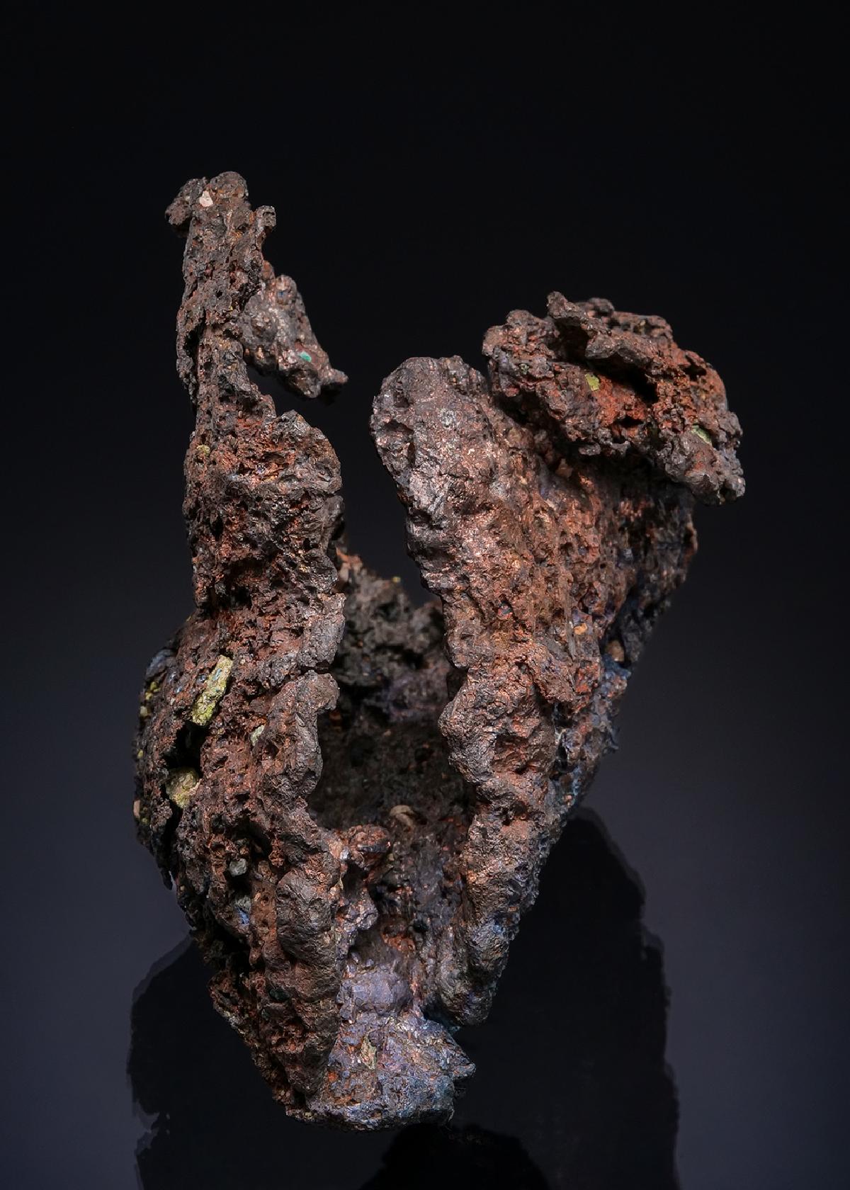 CC48888 specimen image