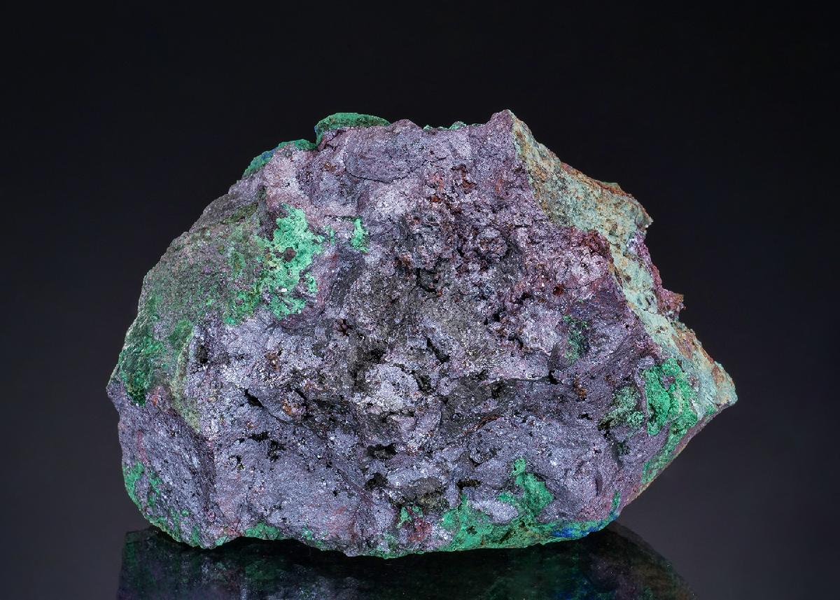 CC48898 specimen image