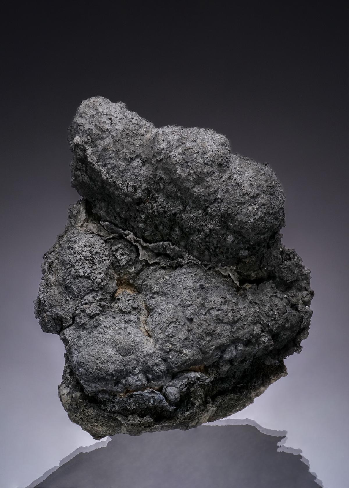 CC48902 specimen image