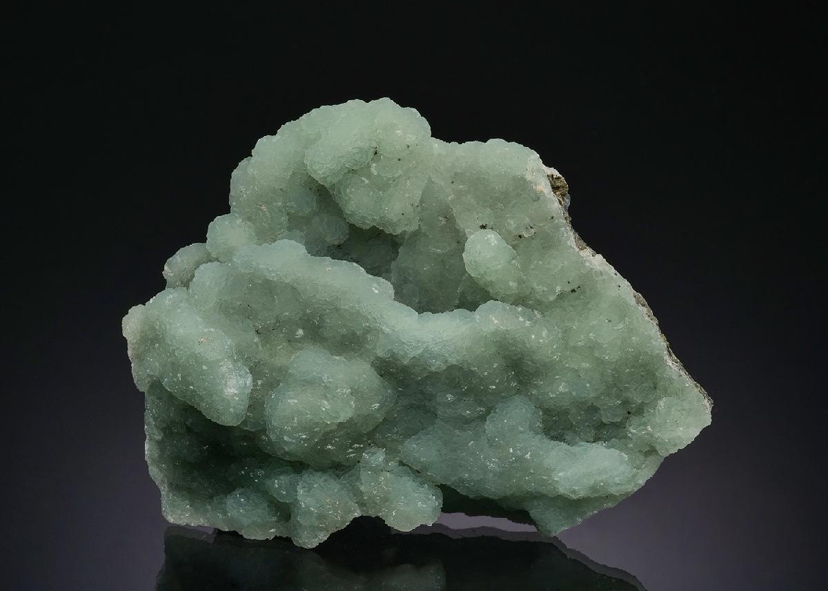 CC48904 specimen image