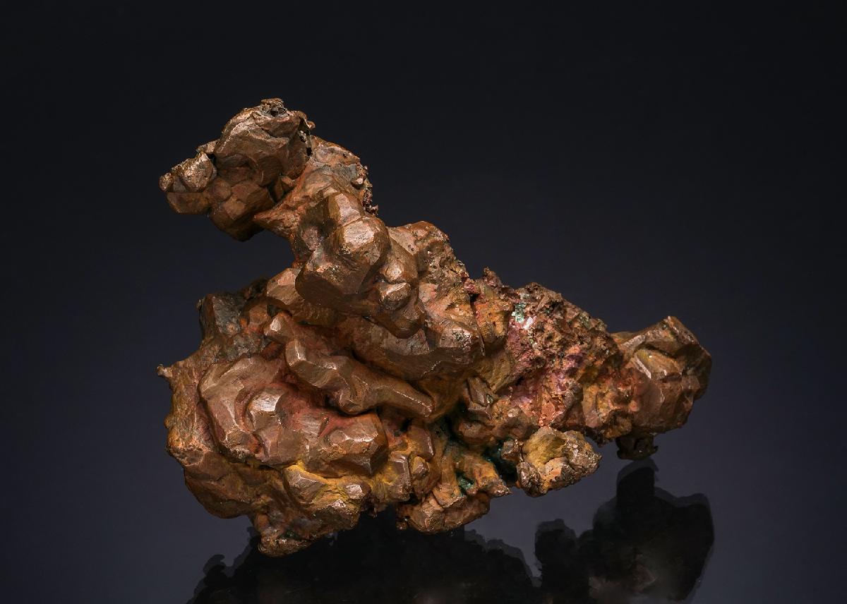 CC48906 specimen image