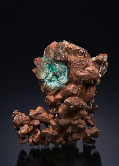 CC48910 specimen image