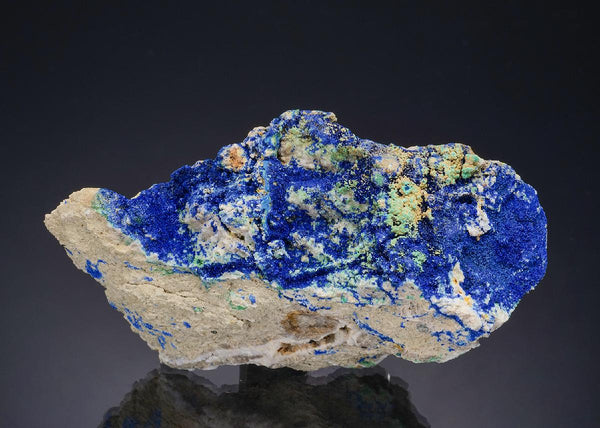 CC48924 specimen image