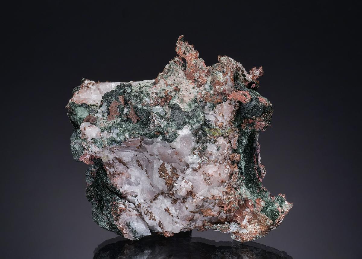 CC48926 specimen image