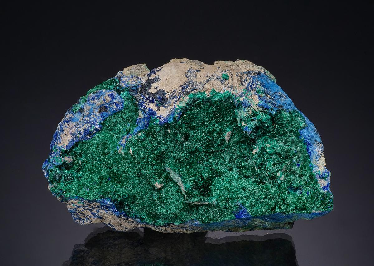CC48930 specimen image