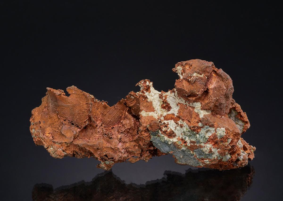 CC48978 specimen image