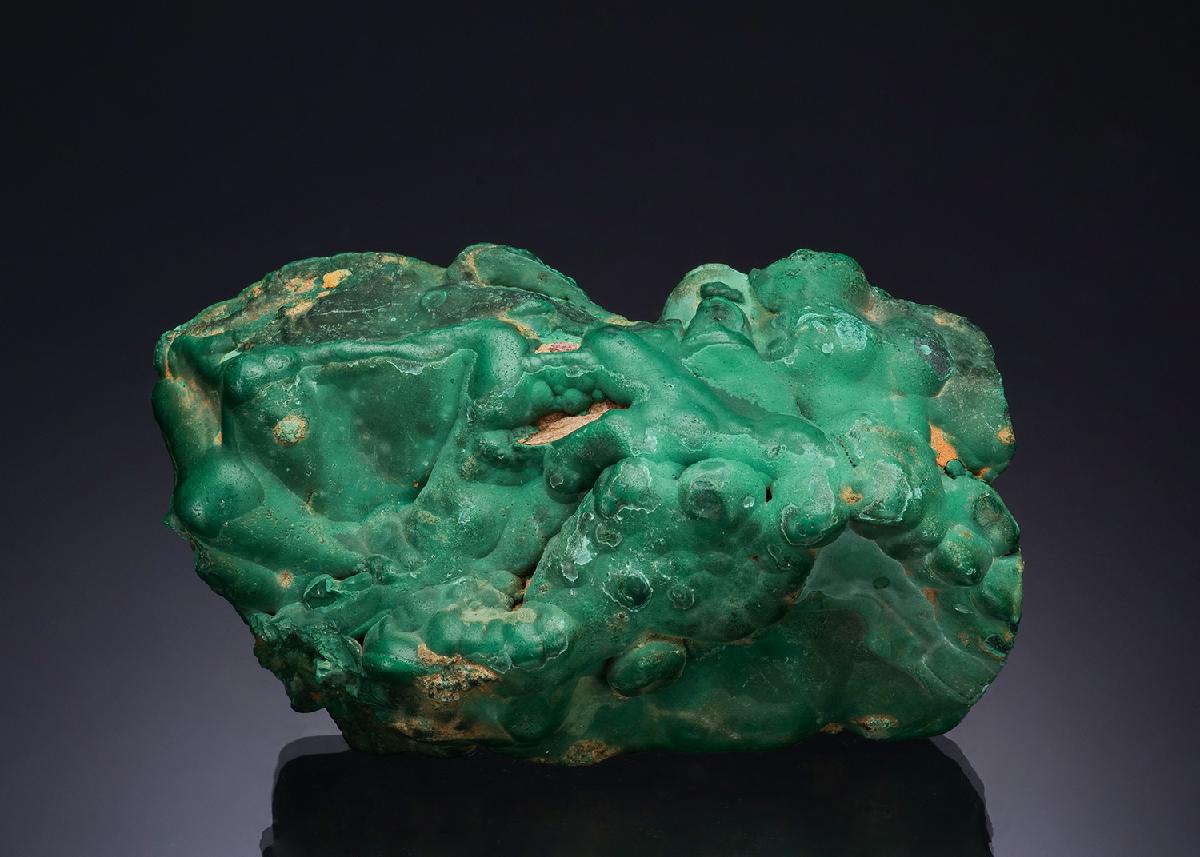 CC48980 specimen image