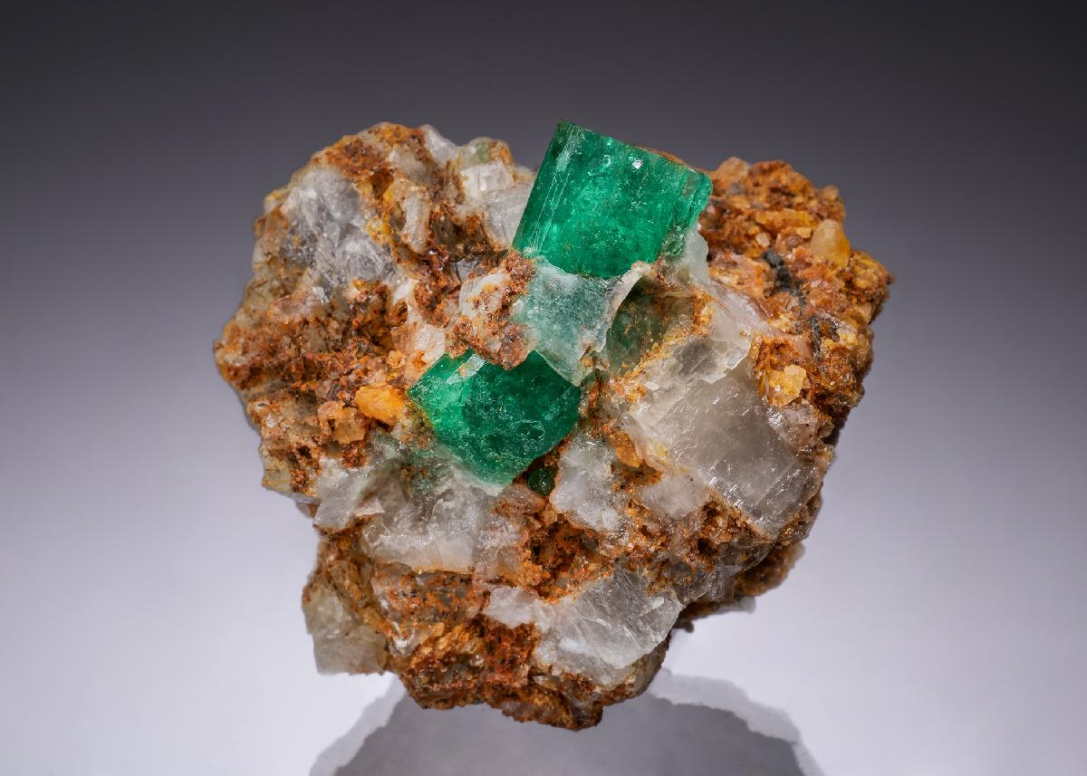 CC49006 specimen image