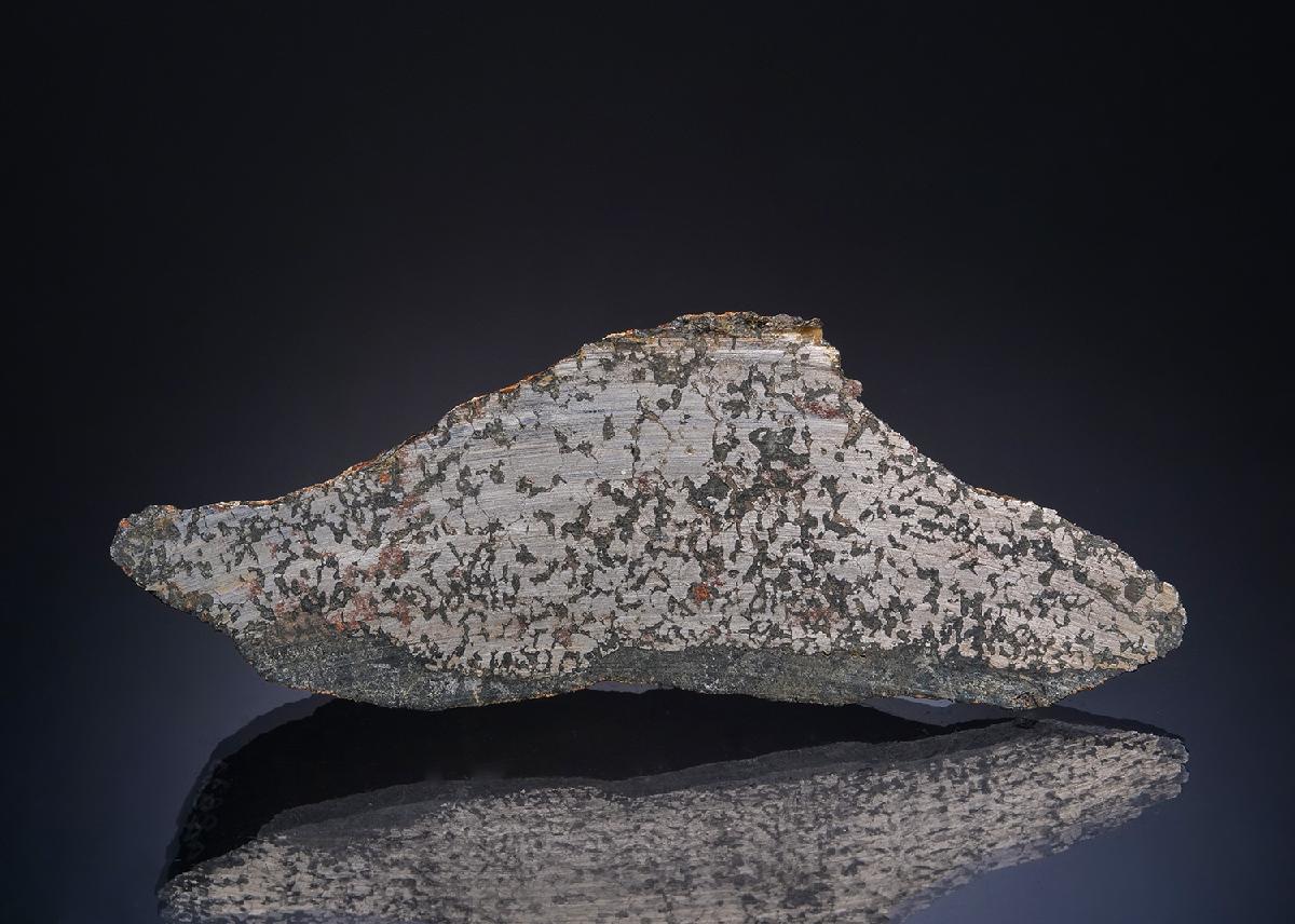 CC49030 specimen image