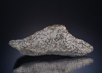 CC49030 specimen image