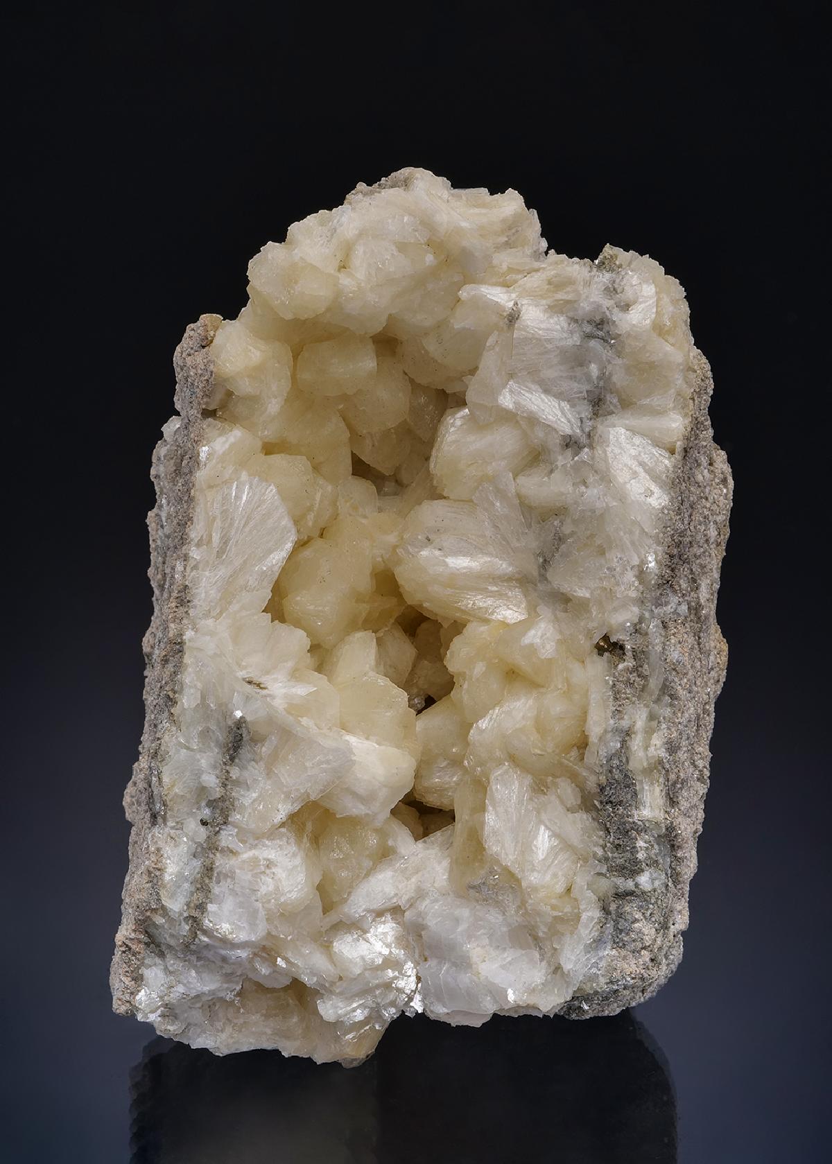 CC49032 specimen image
