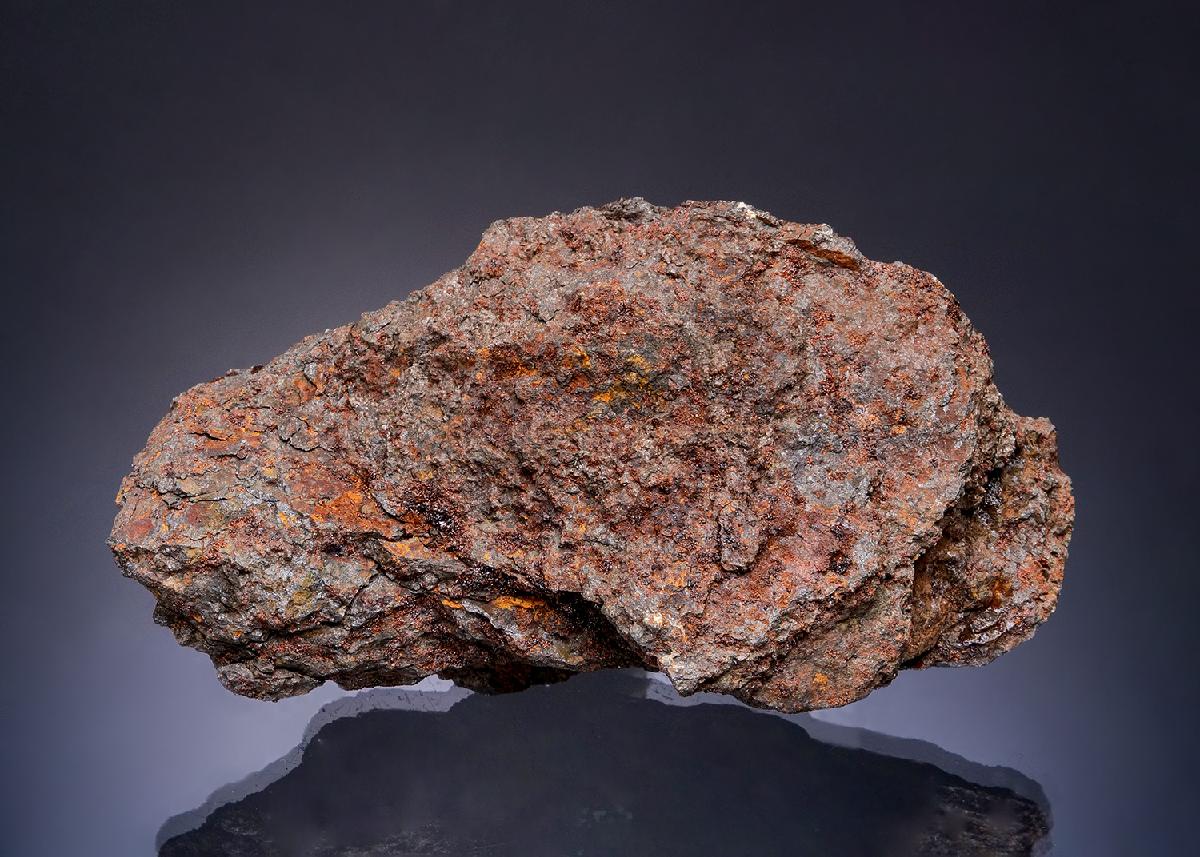 CC49040 specimen image