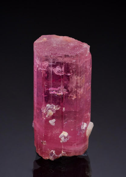 CC49056 specimen image