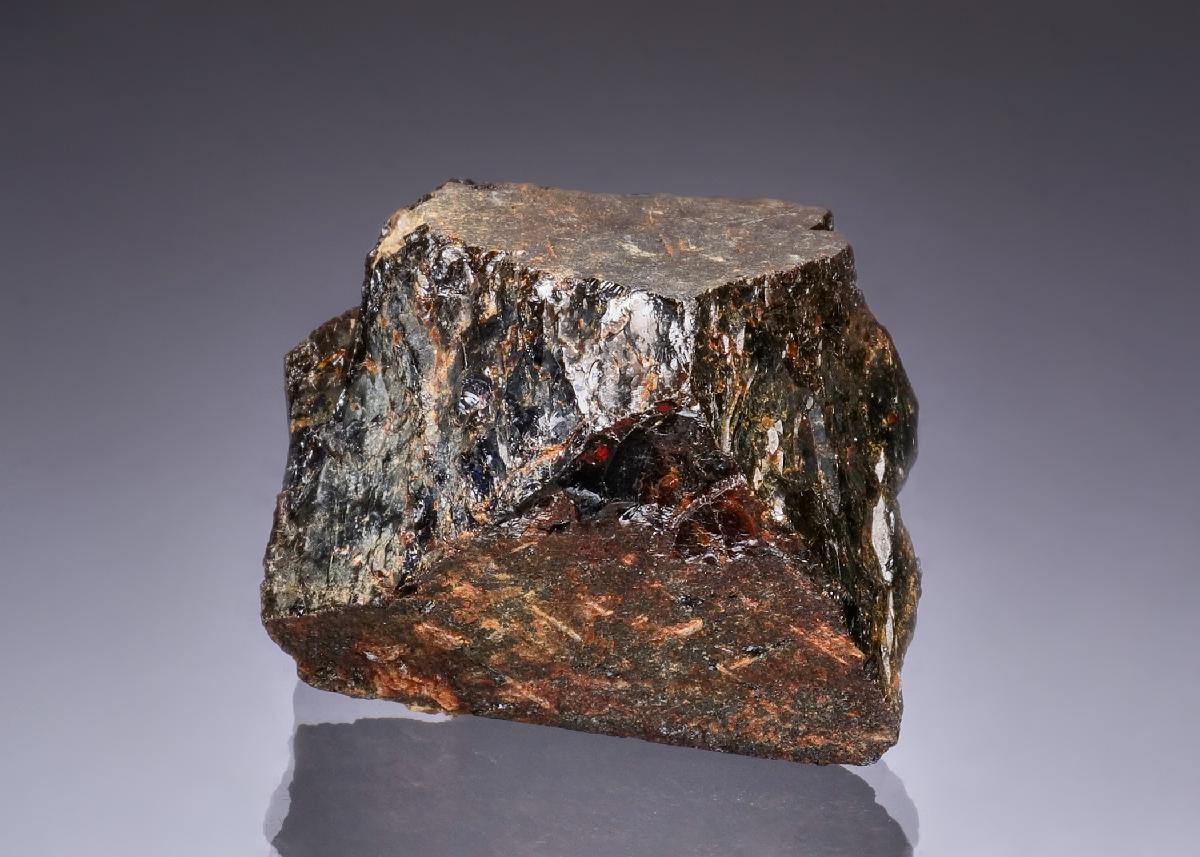 CC49070 specimen image