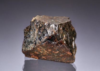 CC49070 specimen image