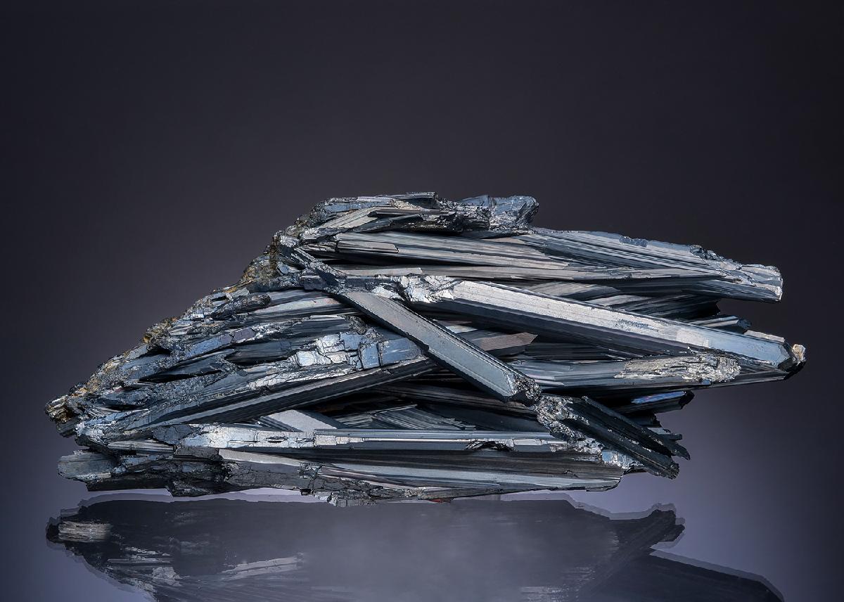 CC49078 specimen image