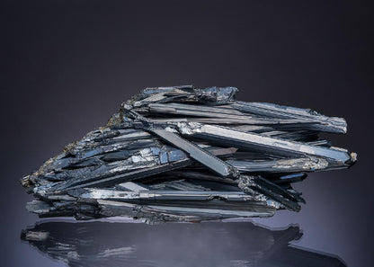 CC49078 specimen image
