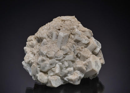 CC49122 specimen image