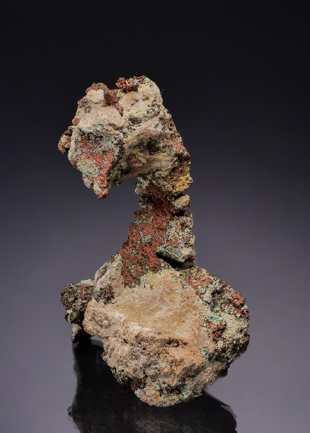CC49134 specimen image