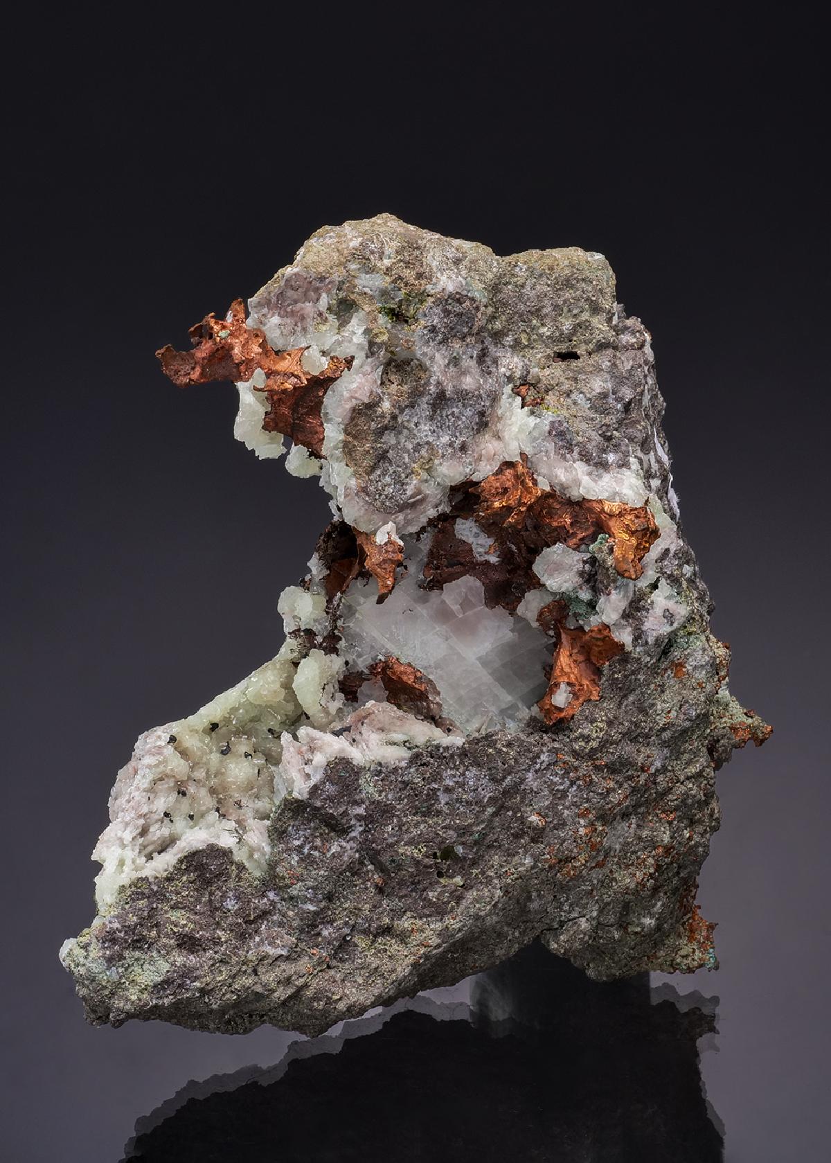 CC49138 specimen image