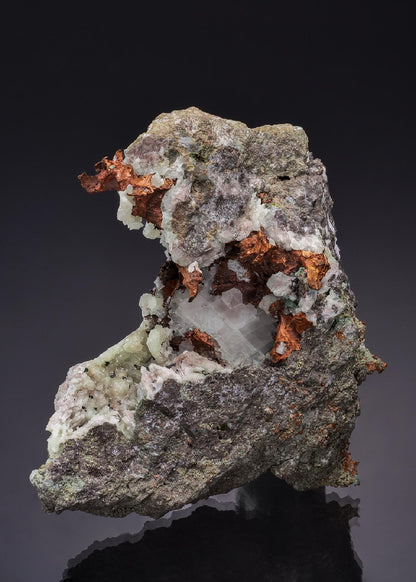 CC49138 specimen image