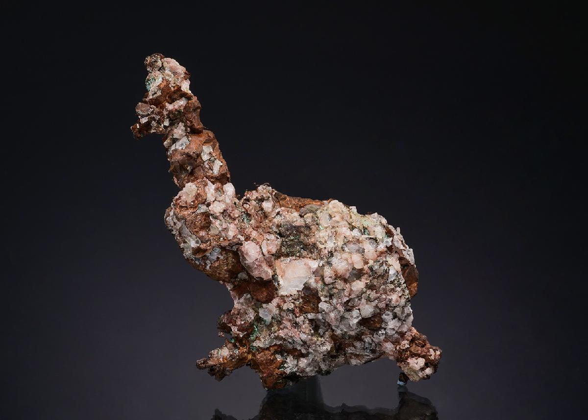 CC49150 specimen image