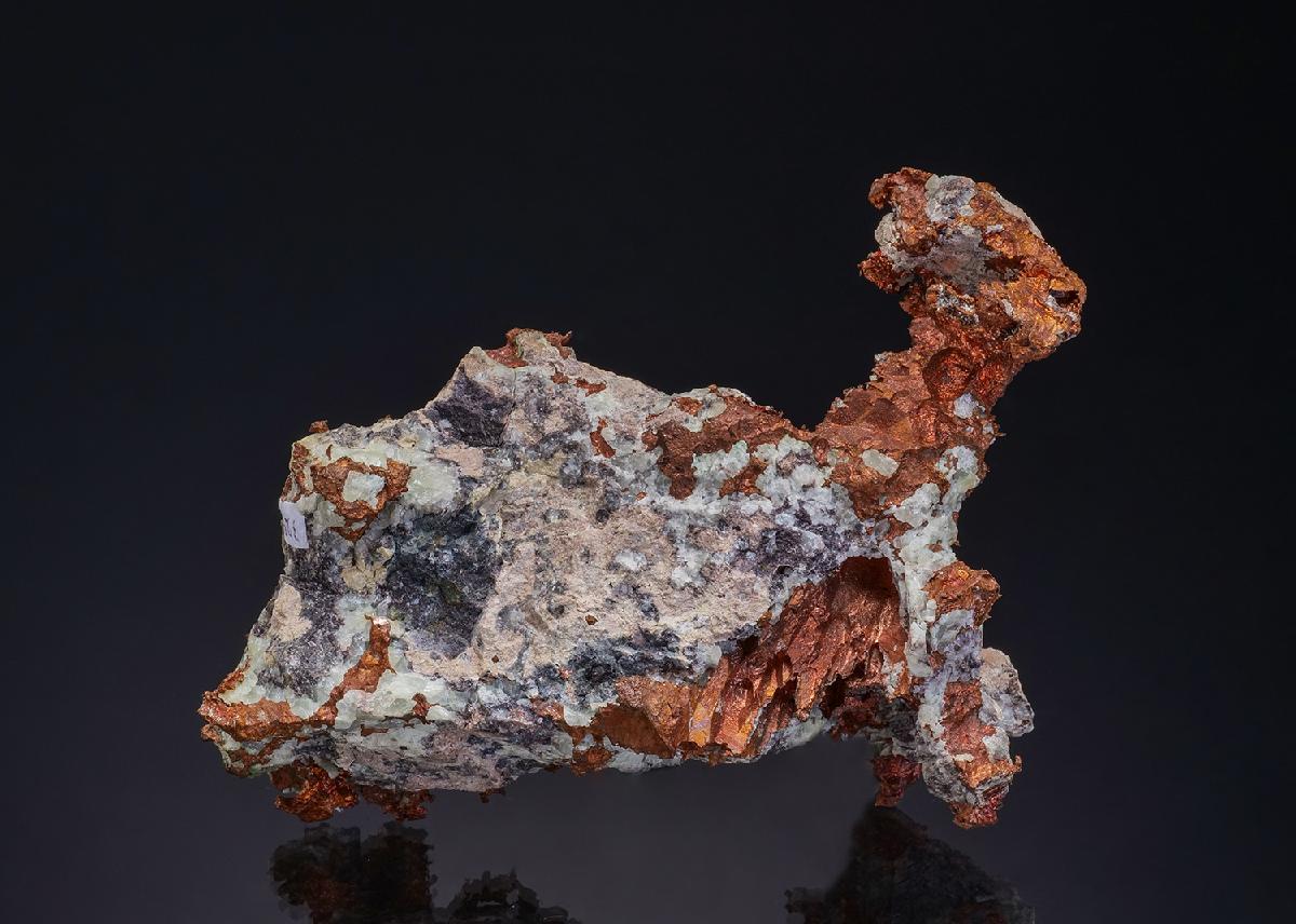 CC49152 specimen image