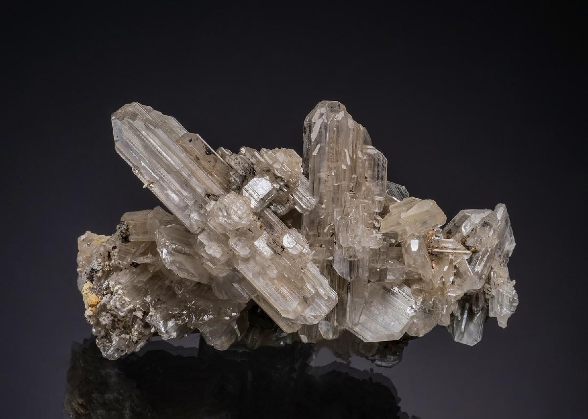CC49166 specimen image