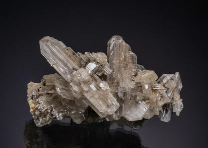 CC49166 specimen image