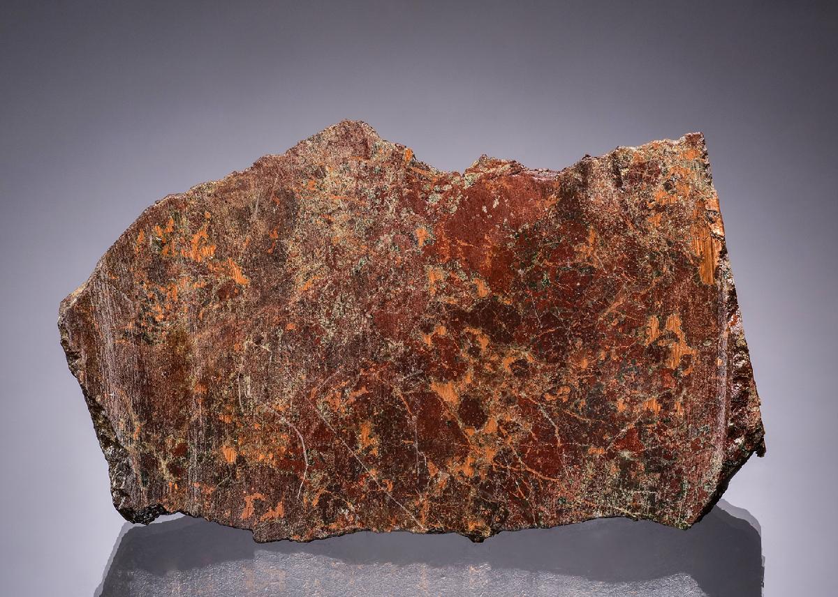 CC49168 specimen image