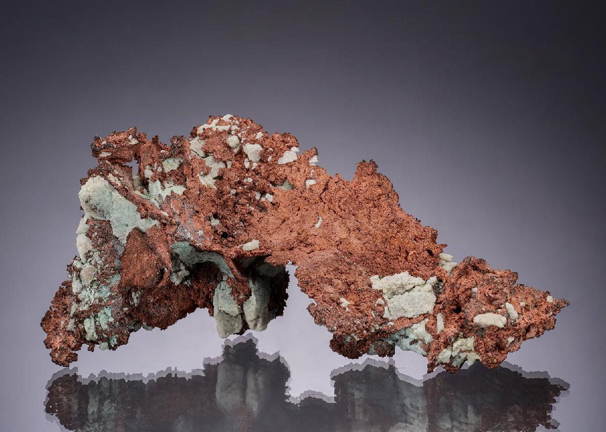 CC49182 specimen image