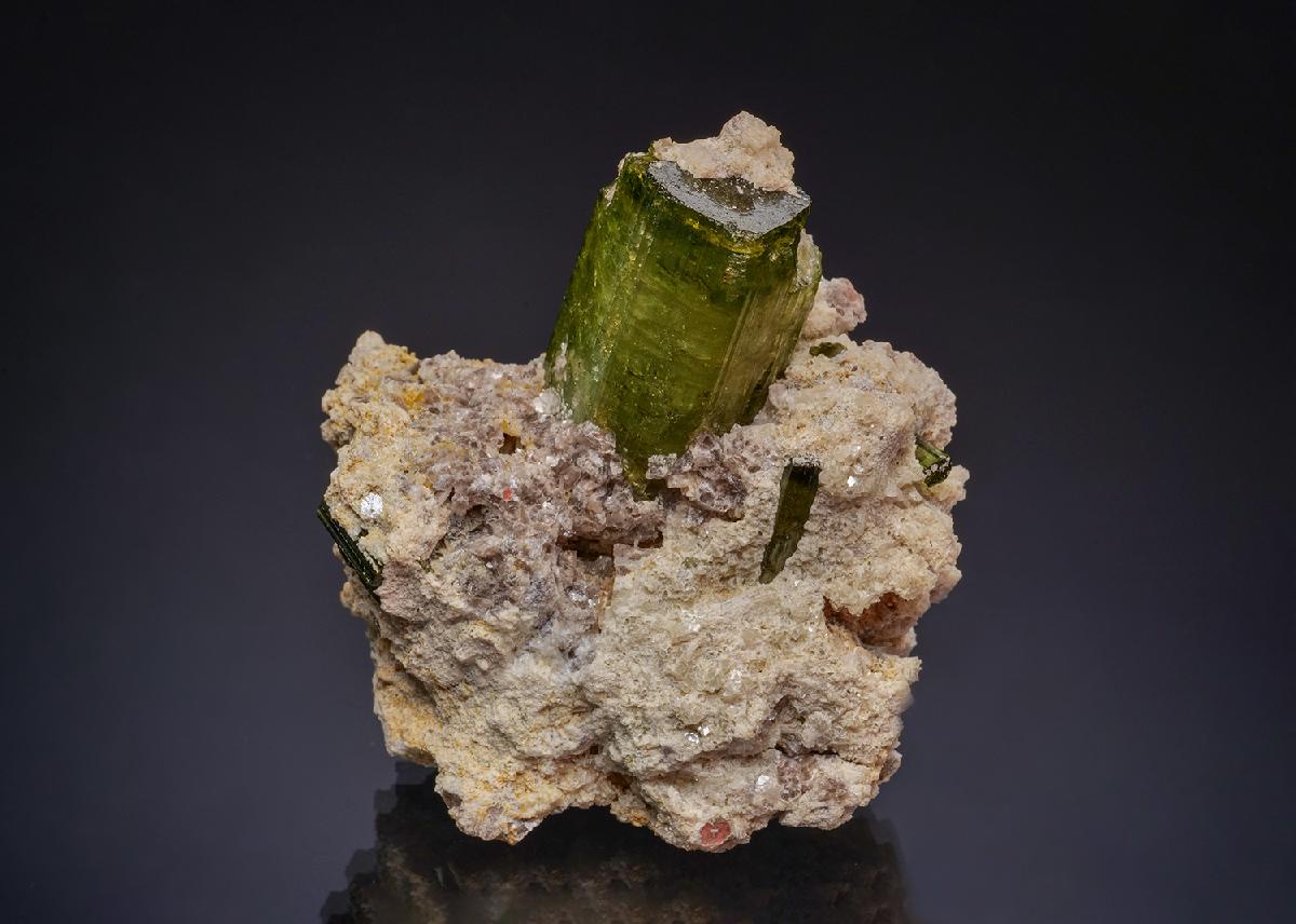 CC49238 specimen image