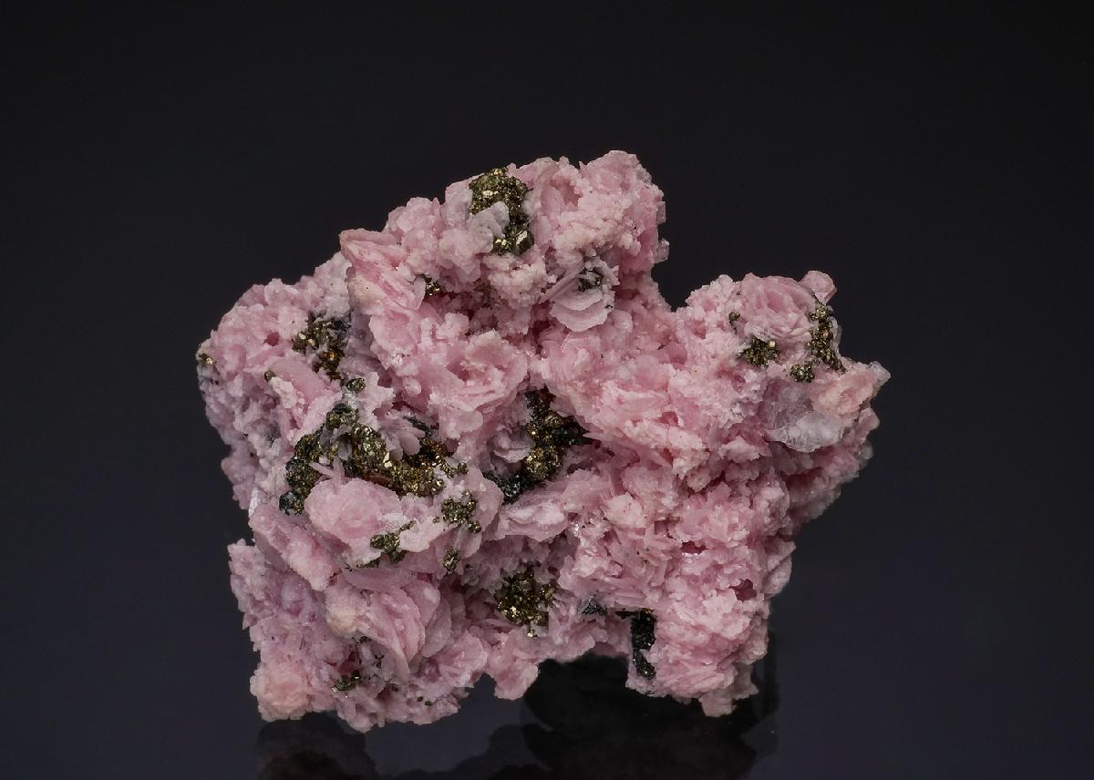 CC49256 specimen image
