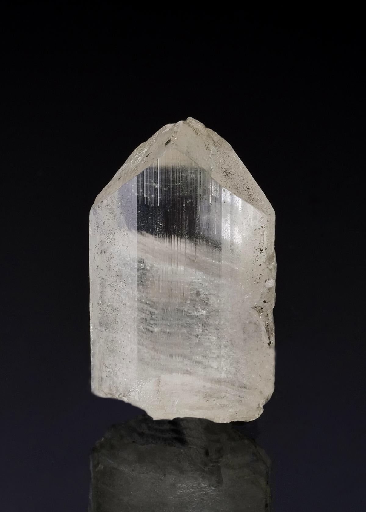 CC49258 specimen image