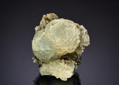 CC49266 specimen image
