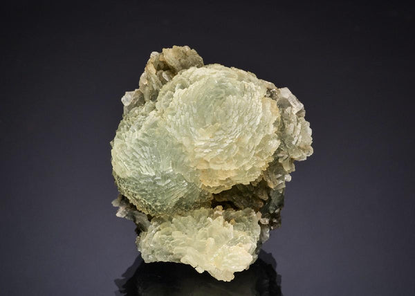 CC49266 specimen image