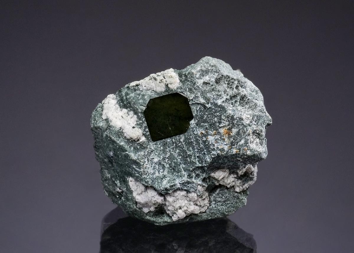CC49290 specimen image