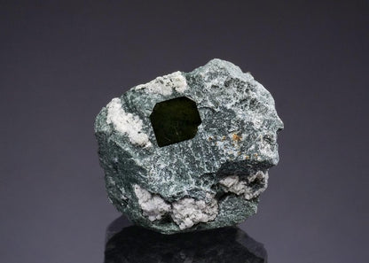 CC49290 specimen image