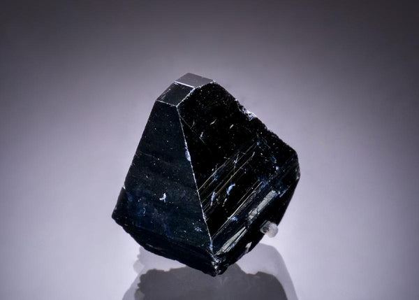 CC49294 specimen image