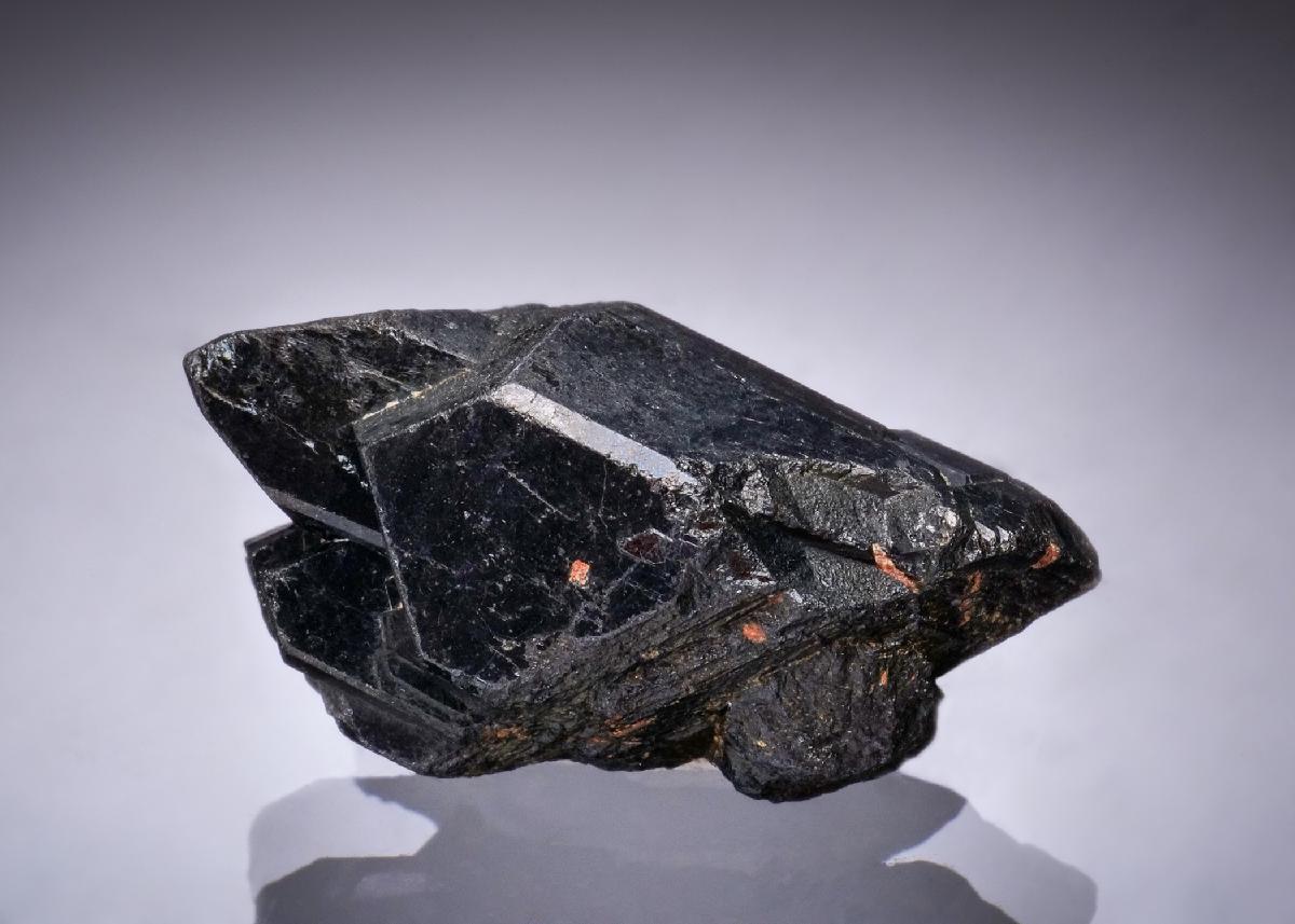 CC49302 specimen image