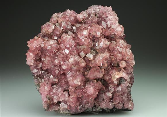 CC4933 specimen image