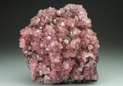 CC4933 specimen image
