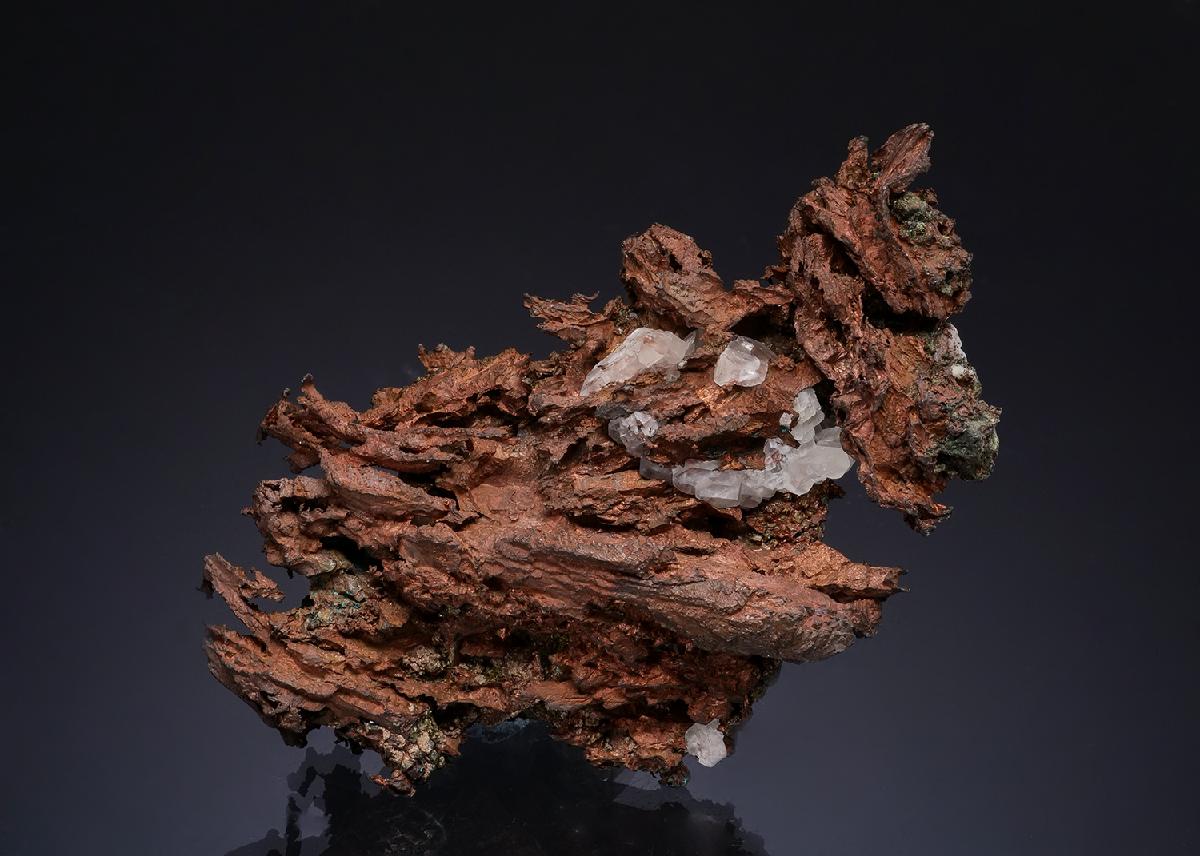 CC49340 specimen image