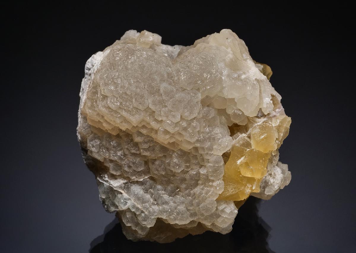 CC49350 specimen image