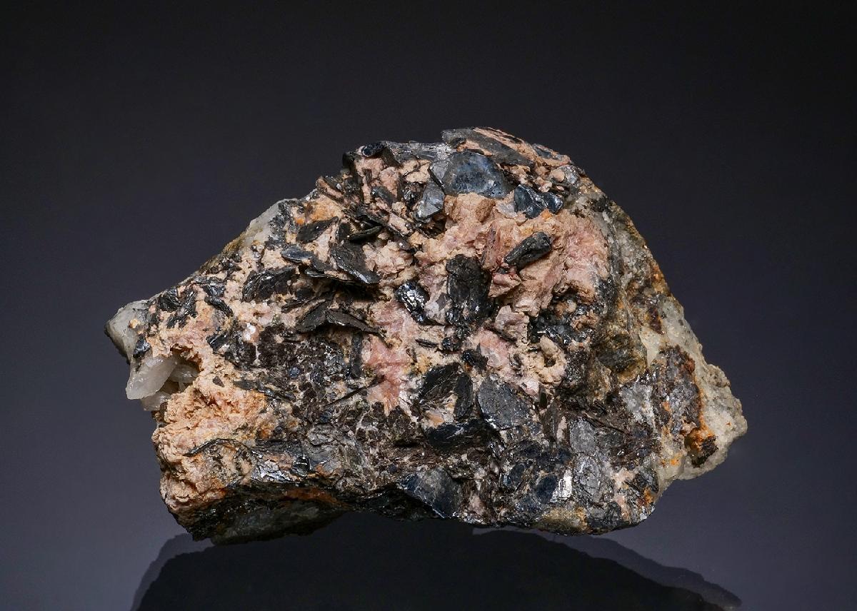 CC49354 specimen image