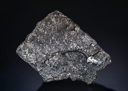 CC49366 specimen image