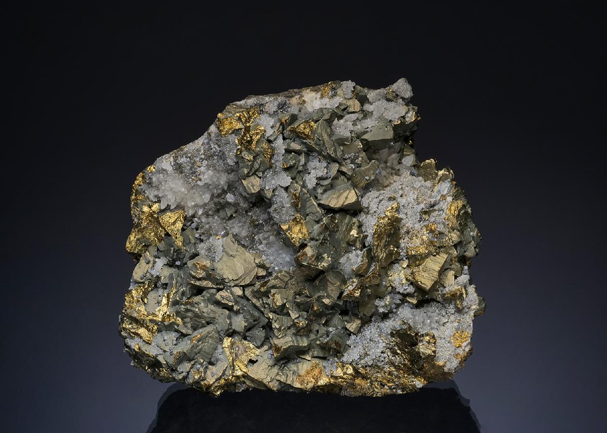 CC49368 specimen image