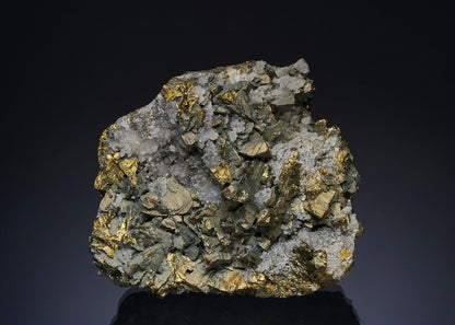 CC49368 specimen image