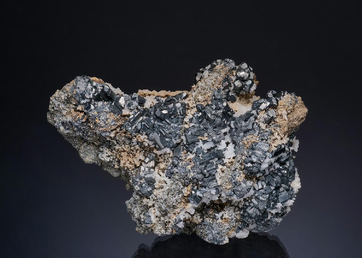 CC49370 specimen image
