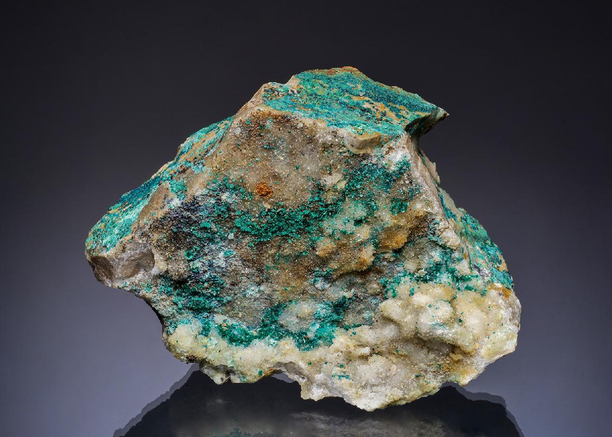 CC49372 specimen image